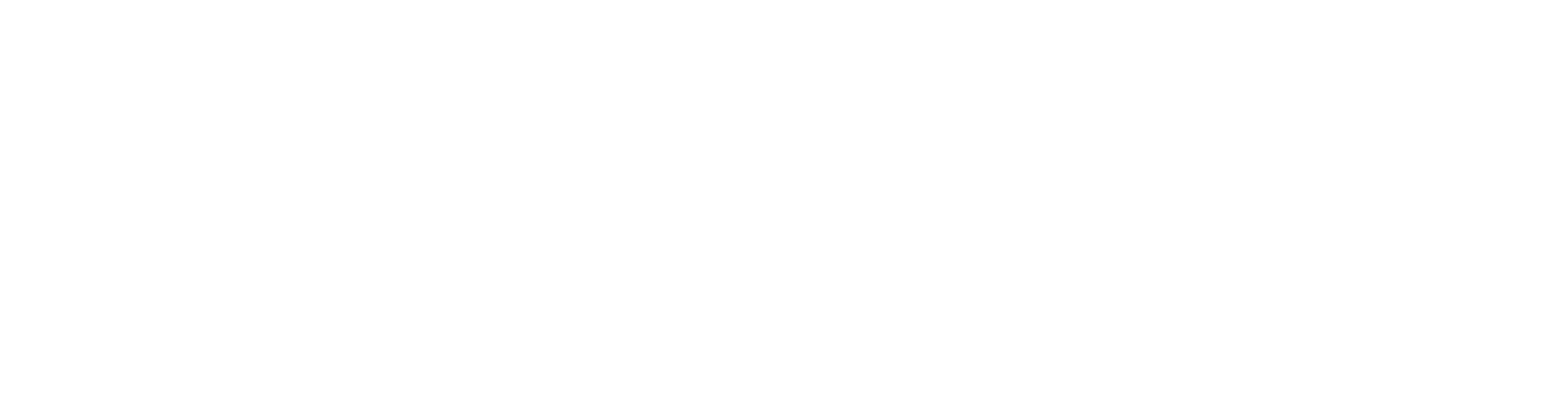 Luiz Bhittencourt